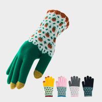 Gloves Female Winter Fleece-lined Warm-keeping And Cold-proof Touch Screen Gloves Cute Fashion Net Red Wind Student Five Finger Riding Gloves main image 1