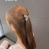 Tempérament Fleur Préhension Clip Mode Épingle À Cheveux Coréenne Dégoulinant D&#39;huile Chapeaux main image 6
