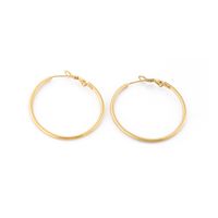 Fashion Geometric Titanium Steel 18K Gold Plated Earrings main image 1
