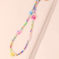 Fashion Fruit Miyuki Beads Children's Necklace Wholesale main image 10