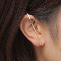 Qingdao Daiwei Europäischer Und Amerikanischer Modeschmuck Einfache Und Übertriebene Lange Ohrringe Ohrringe Mädchen Ohrringe main image 1