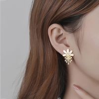 Pearl Crystal Rhinestone Flower Earrings Ins Fashion Earrings main image 5