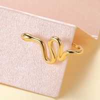 New Style Non-porous Piercing Clip Nose Ring Popular Snake-shaped Fake Nose Ring Wholesale main image 4