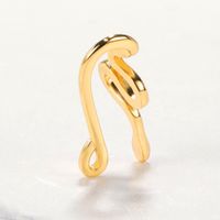 New Style Non-porous Piercing Clip Nose Ring Popular Snake-shaped Fake Nose Ring Wholesale main image 5