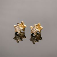 Boucle D'oreille Étoile Micro-clous De Diamants Dans Les Accessoires De Boucles D'oreilles Tempérament De Mode En Gros main image 5