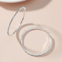 Boucles D&#39;oreilles Grand Cercle En Strass À La Mode Pour Femmes main image 1