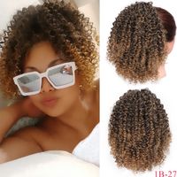 European And American Wig Ladies Small Curly Hair Afro Wigs Wholesale main image 1