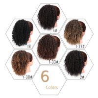 European And American Wig Ladies Small Curly Hair Afro Wigs Wholesale main image 4