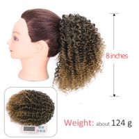 European And American Wig Ladies Small Curly Hair Afro Wigs Wholesale main image 5