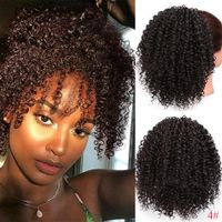 European And American Wig Ladies Small Curly Hair Afro Wigs Wholesale sku image 3