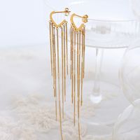Exaggerated Ins Popular Autumn And Winter Retro Long Tassel Design Earrings Titanium Steel 18k Gold Earrings main image 3
