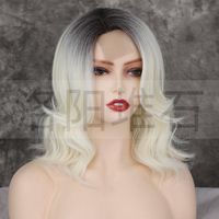 Fashion Women's Wig Short Curly Hair Wigs Wholesale main image 6