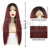 Fashion Women's Wigs Lace Medium And Long Straight Hair Wholesale main image 3
