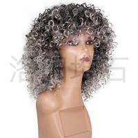 Fashion Women's Chemical Fiber Wig Headgear Gray Fluffy Wig Wholesale main image 4