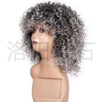 Fashion Women's Chemical Fiber Wig Headgear Gray Fluffy Wig Wholesale main image 5