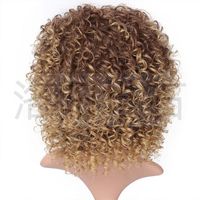 Fashion Ladies Chemical Fiber Wig Golden Wig Small Curly Short Curly Hair Chemical Fiber Headgear main image 3