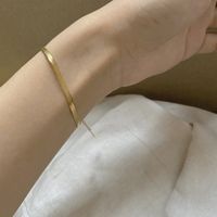 Cross-border Hot Selling Flat Snake Bone Bracelet European And American Ins Internet-famous And Vintage Simple All-match Chain Wristband Bracelet Gold Plated main image 4