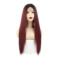 Fashion Women's Wigs Lace Medium And Long Straight Hair Wholesale sku image 1