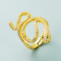 Design Geometric Serpentine Winding Copper Micro-inlaid Zircon Ring Fashion Open Ring main image 4