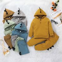Dinosaur Children's Pants Suit 2021 New Autumn Long-sleeved Solid Color Hooded Two-piece main image 1