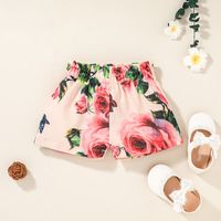 Europäische Und Amerikanische Rosa Hosenträger Shorts Zweiteiliger Anzug Sommer Baby Mädchen Druckanzug main image 5