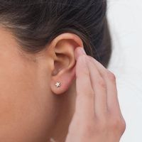 925 Silver Needle Stars Inlaid Zircon Flower Earrings Five-pointed Star Copper Earrings Women main image 6