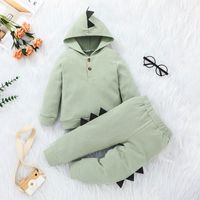 Dinosaur Children's Pants Suit 2021 New Autumn Long-sleeved Solid Color Hooded Two-piece sku image 2