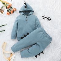 Dinosaur Children's Pants Suit 2021 New Autumn Long-sleeved Solid Color Hooded Two-piece sku image 5