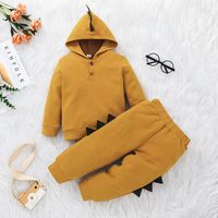 Dinosaur Children's Pants Suit 2021 New Autumn Long-sleeved Solid Color Hooded Two-piece sku image 13