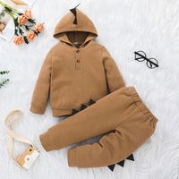 Dinosaur Children's Pants Suit 2021 New Autumn Long-sleeved Solid Color Hooded Two-piece sku image 17