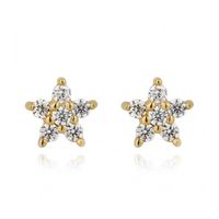 925 Silver Needle Stars Inlaid Zircon Flower Earrings Five-pointed Star Copper Earrings Women sku image 1