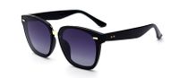 Polarized Sunglasses Covering Mirror Overall Design Sunglasses Wholesale sku image 2