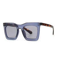 New Style Modern Retro Leopard Frame Sunglasses Big-name Sunglasses sku image 5