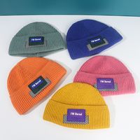 Hip-hop Leather Label Knitted Hat Winter Children Hat main image 4
