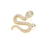 Diamond Romantic Retro Snake Female Piercing Screws Earrings main image 6