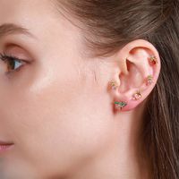 Pastorale Animal Laiton Gemme Des Boucles D'oreilles Boucles D'oreilles main image 4