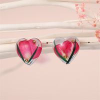 Creative Resin Dried Flower Eternal Flower Transparent Heart-shaped Earrings Jewelry main image 2