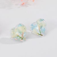 Creative Resin Dried Flower Eternal Flower Transparent Heart-shaped Earrings Jewelry main image 3