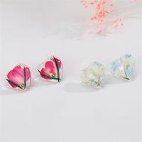 Creative Resin Dried Flower Eternal Flower Transparent Heart-shaped Earrings Jewelry main image 5