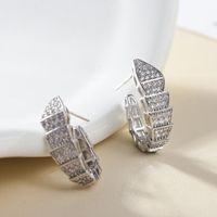 Full Diamond Snake-shaped Earrings Snake Bone Copper Earrings main image 3