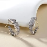 Full Diamond Snake-shaped Earrings Snake Bone Copper Earrings main image 4