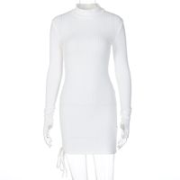 Long Sleeve Color Temperament Drawstring Waist High-neck Slim Dress sku image 1