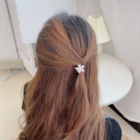 Fashion Pearl Floret Clip Girl Princess Hairpin Bangs Clip main image 3