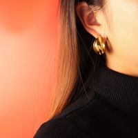 Fashion Simple Geometric C-shaped Earrings Titanium Steel  Earrings main image 1