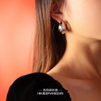 Fashion Simple Geometric C-shaped Earrings Titanium Steel  Earrings main image 4