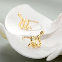 Fashion Jewelry Creative Snake-shaped Curved Snake Shaw Earrings main image 5