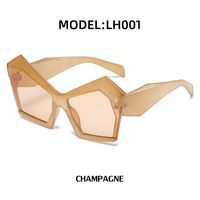 European And American Fashion Sunglasses Ladies Trend Polygon Sunglasses Women sku image 9