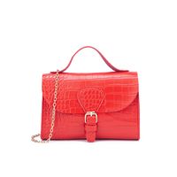 2021 Femme Motif Crocodile Serrure Petit Sac Carré Sac À Bandoulière Messager Pour Femme main image 1