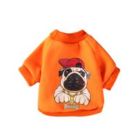 Small Dogs Two-legged Clothes Autumn And Winter Warm Cartoon Dog Sweater Printing Dog Clothes sku image 5