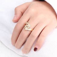 Daisy Open Fashion Inlaid Micro Zircon Index Finger Ring Design Simple Flower Jewelry main image 2